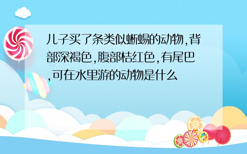 儿子买了条类似蜥蜴的动物,背部深褐色,腹部桔红色,有尾巴,可在水里游的动物是什么