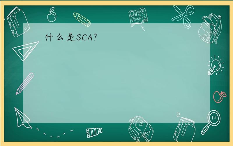 什么是SCA?