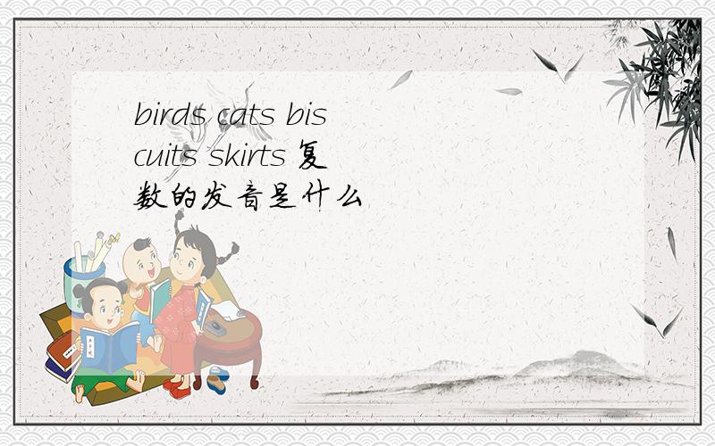 birds cats biscuits skirts 复数的发音是什么