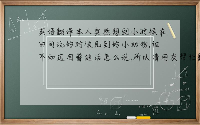 英语翻译本人突然想到小时候在田间玩的时候见到的小动物,但不知道用普通话怎么说,所以请网友帮忙翻译,鸽纠：是科类动物,后背