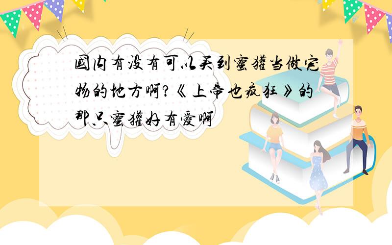 国内有没有可以买到蜜獾当做宠物的地方啊?《上帝也疯狂》的那只蜜獾好有爱啊