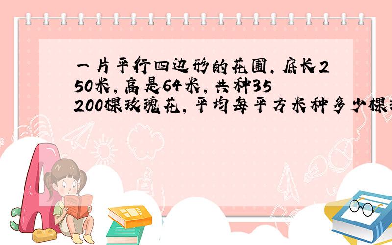 一片平行四边形的花圃,底长250米,高是64米,共种35200棵玫瑰花,平均每平方米种多少棵玫瑰?