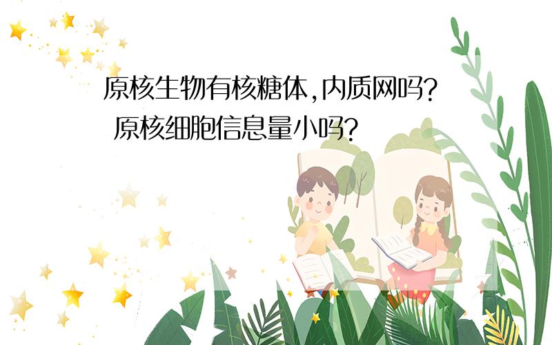 原核生物有核糖体,内质网吗? 原核细胞信息量小吗?