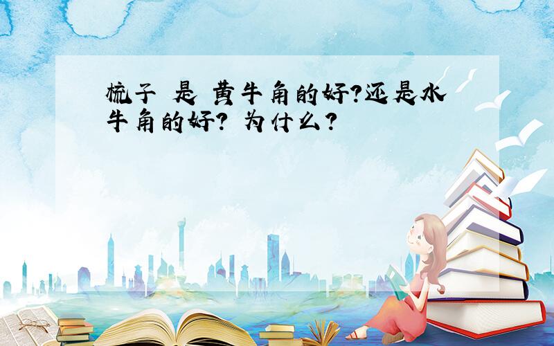 梳子 是 黄牛角的好?还是水牛角的好? 为什么?