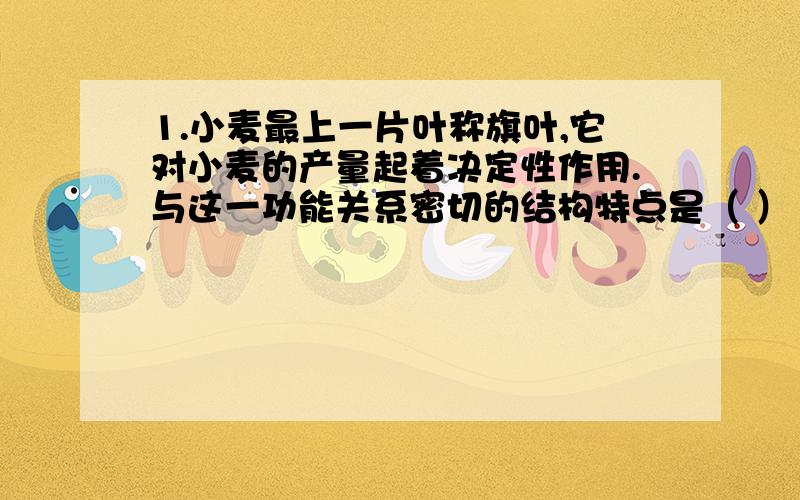 1.小麦最上一片叶称旗叶,它对小麦的产量起着决定性作用.与这一功能关系密切的结构特点是（ ）