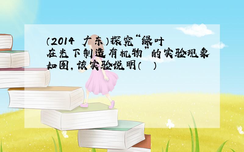 （2014•广东）探究“绿叶在光下制造有机物”的实验现象如图，该实验说明（　　）