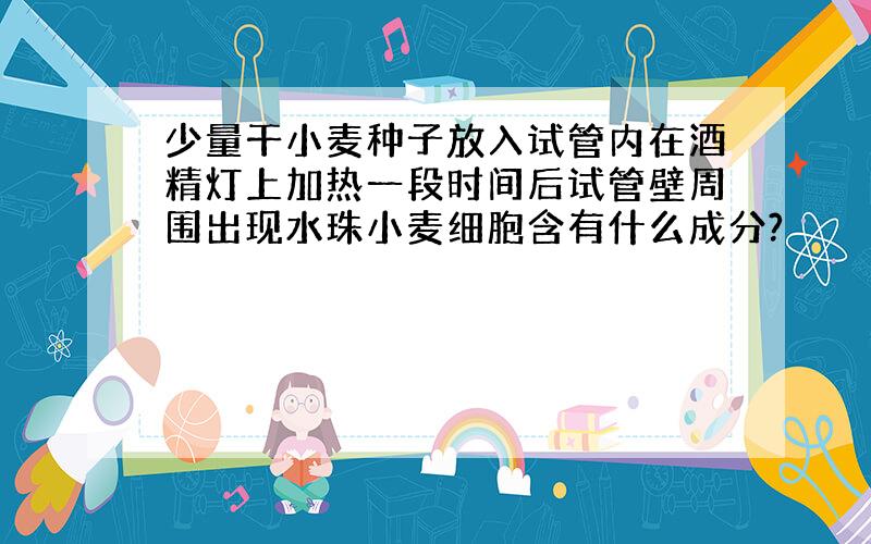 少量干小麦种子放入试管内在酒精灯上加热一段时间后试管壁周围出现水珠小麦细胞含有什么成分?