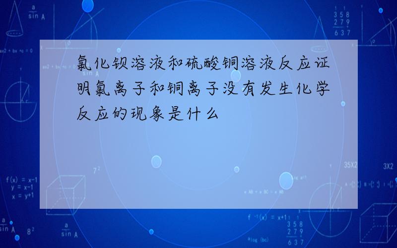 氯化钡溶液和硫酸铜溶液反应证明氯离子和铜离子没有发生化学反应的现象是什么