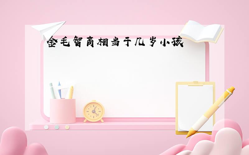 金毛智商相当于几岁小孩