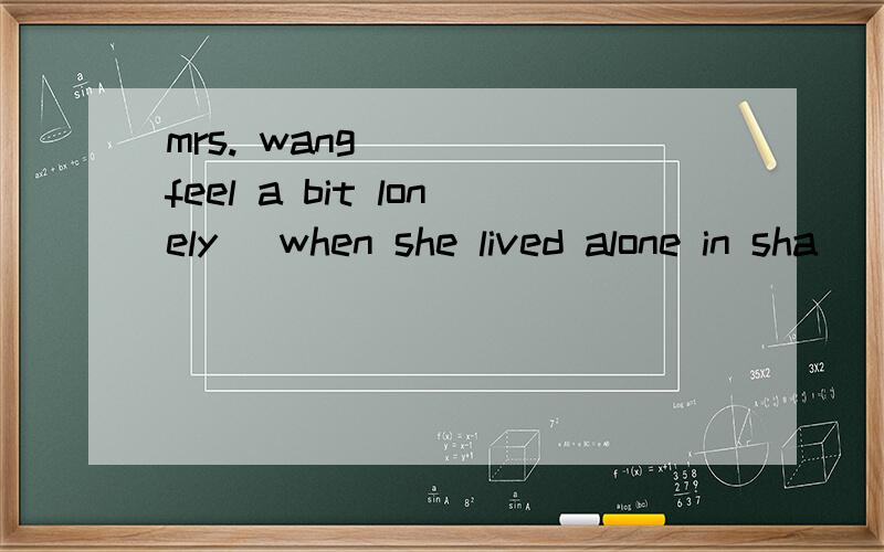 mrs. wang____(feel a bit lonely) when she lived alone in sha