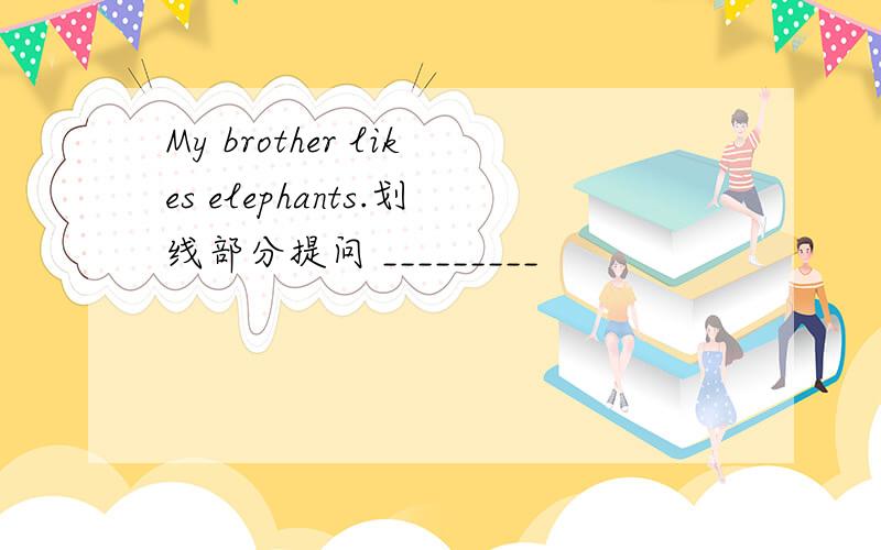 My brother likes elephants.划线部分提问 _________