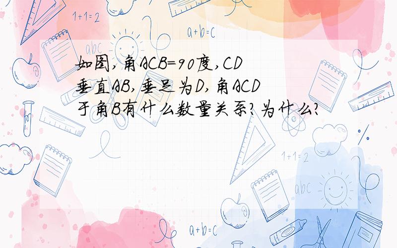 如图,角ACB=90度,CD垂直AB,垂足为D,角ACD于角B有什么数量关系?为什么?