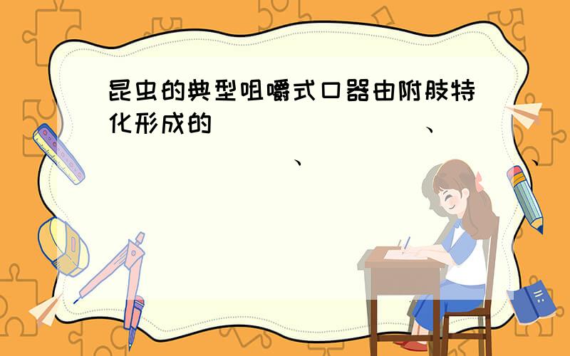 昆虫的典型咀嚼式口器由附肢特化形成的________、________、________、________以及非附肢来源