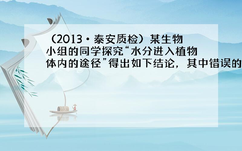 （2013•泰安质检）某生物小组的同学探究“水分进入植物体内的途径”得出如下结论，其中错误的是（　　）