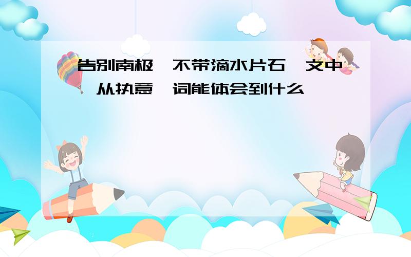 告别南极,不带滴水片石一文中,从执意一词能体会到什么