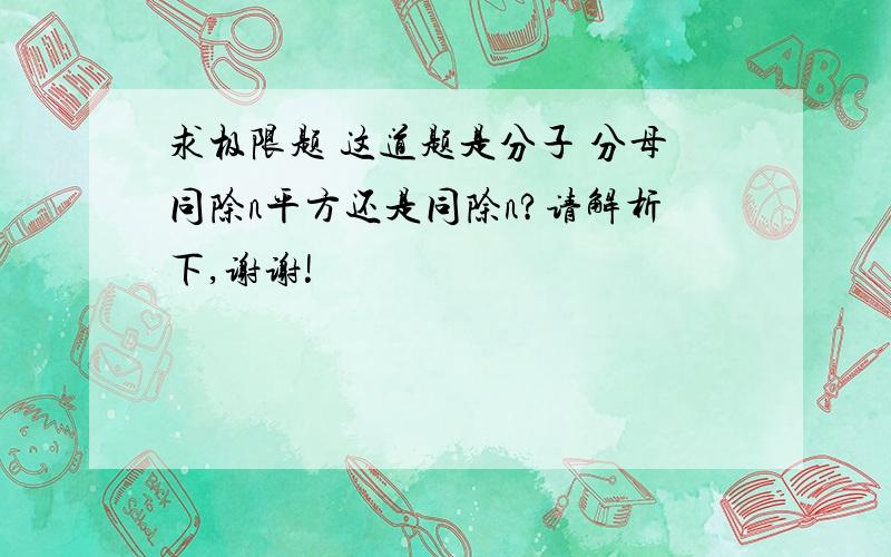 求极限题 这道题是分子 分母同除n平方还是同除n?请解析下,谢谢!