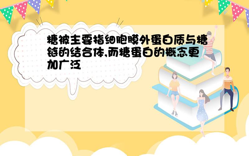 糖被主要指细胞膜外蛋白质与糖链的结合体,而糖蛋白的概念更加广泛