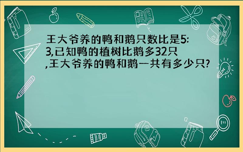 王大爷养的鸭和鹅只数比是5:3,已知鸭的植树比鹅多32只,王大爷养的鸭和鹅一共有多少只?