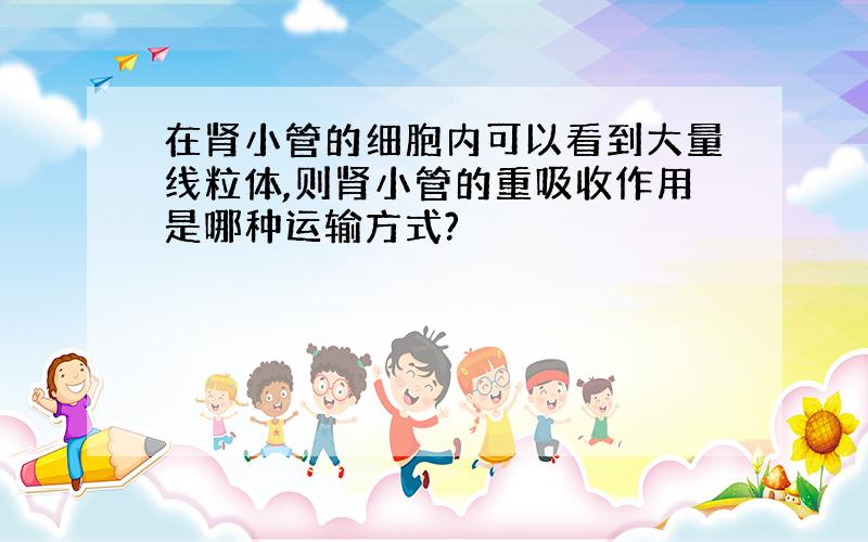 在肾小管的细胞内可以看到大量线粒体,则肾小管的重吸收作用是哪种运输方式?