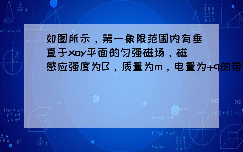 如图所示，第一象限范围内有垂直于xoy平面的匀强磁场，磁感应强度为B，质量为m，电量为+q的带正电粒子在xoy平面里经原