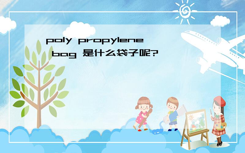 poly propylene bag 是什么袋子呢?