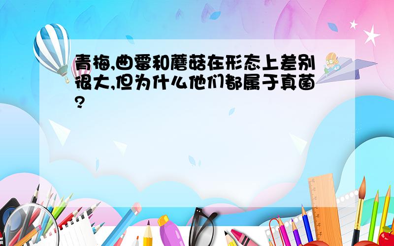 青梅,曲霉和蘑菇在形态上差别很大,但为什么他们都属于真菌?