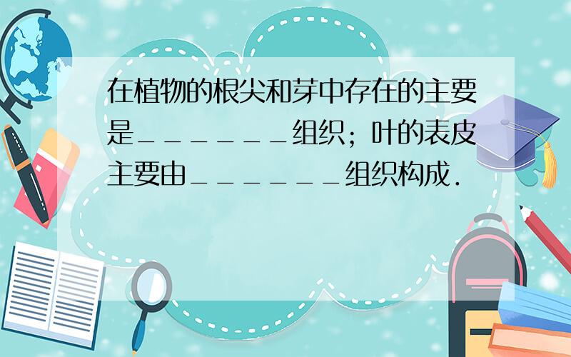 在植物的根尖和芽中存在的主要是______组织；叶的表皮主要由______组织构成．