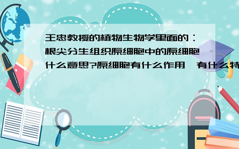 王忠教授的植物生物学里面的：根尖分生组织原细胞中的原细胞什么意思?原细胞有什么作用,有什么特征?