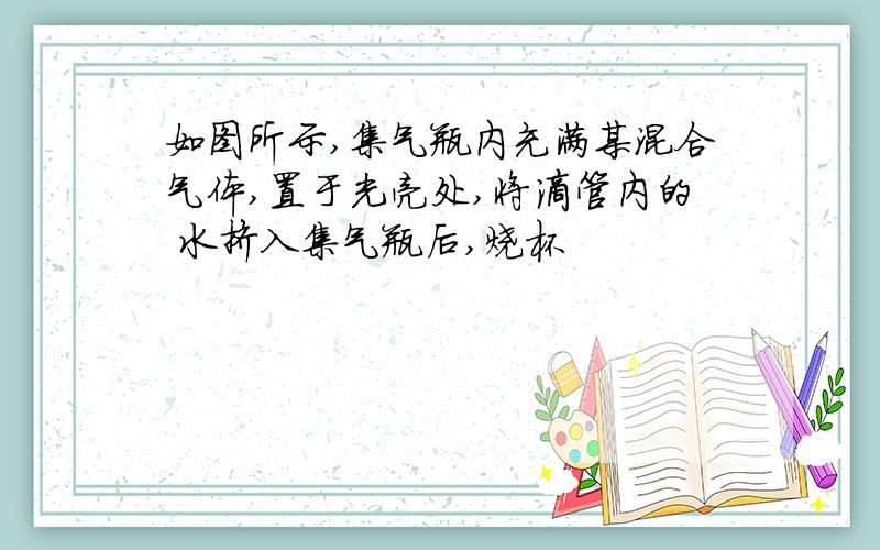 如图所示,集气瓶内充满某混合气体,置于光亮处,将滴管内的 水挤入集气瓶后,烧杯