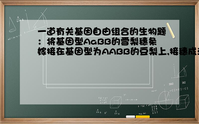 一道有关基因自由组合的生物题：将基因型AaBB的雪梨穗条嫁接在基因型为AABB的豆梨上,接穗成活后,其所...