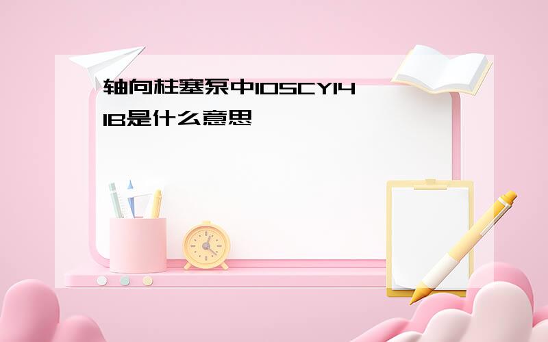 轴向柱塞泵中10SCY14—1B是什么意思