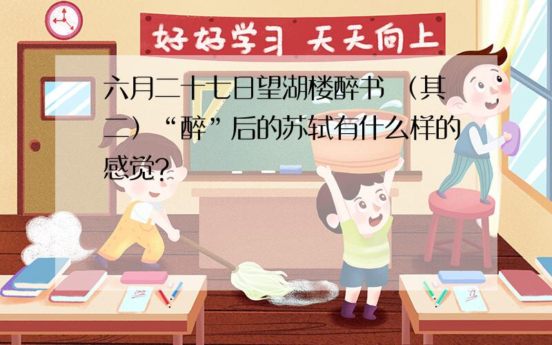 六月二十七日望湖楼醉书 （其二）“醉”后的苏轼有什么样的感觉?