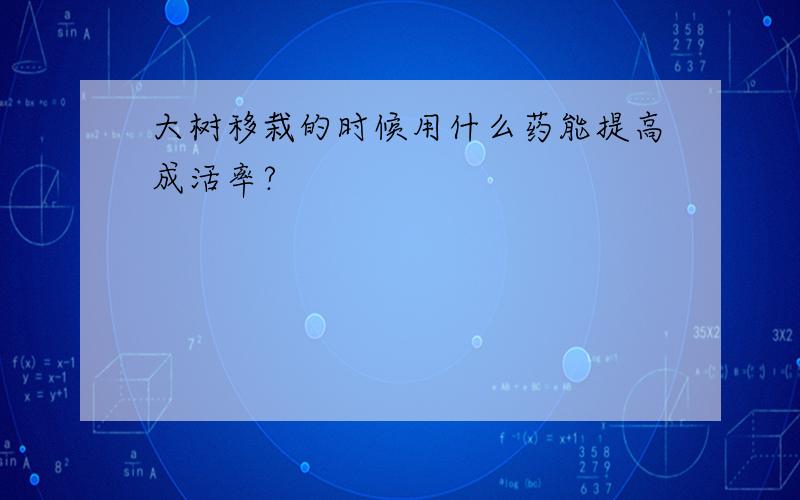 大树移栽的时候用什么药能提高成活率?