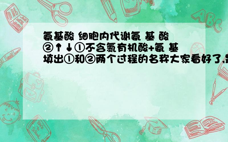 氨基酸 细胞内代谢氨 基 酸②↑↓①不含氮有机酸+氨 基填出①和②两个过程的名称大家看好了,是氨基不是氨基酸