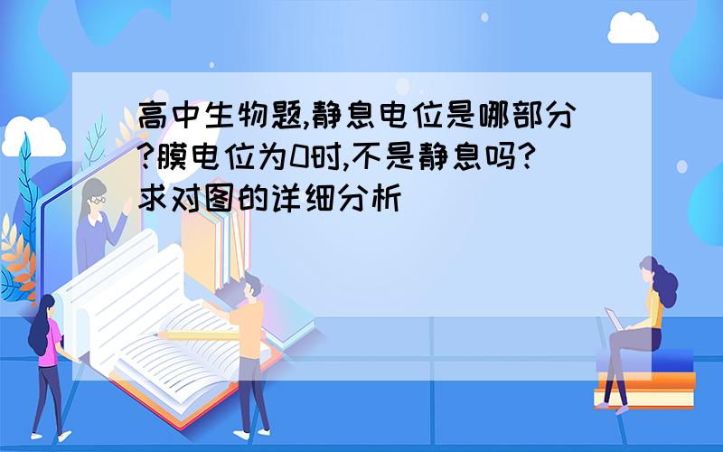 高中生物题,静息电位是哪部分?膜电位为0时,不是静息吗?求对图的详细分析