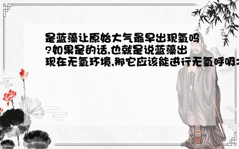 是蓝藻让原始大气最早出现氧吗?如果是的话,也就是说蓝藻出现在无氧环境,那它应该能进行无氧呼吸才对.但蓝藻的类型是需氧型,