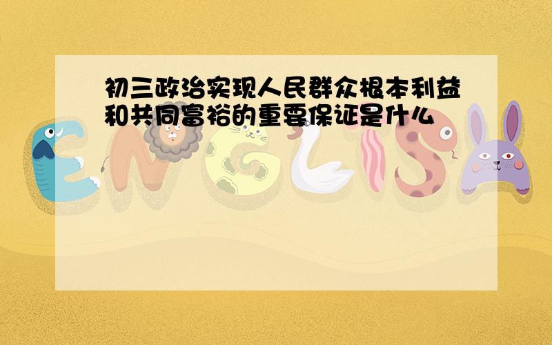 初三政治实现人民群众根本利益和共同富裕的重要保证是什么