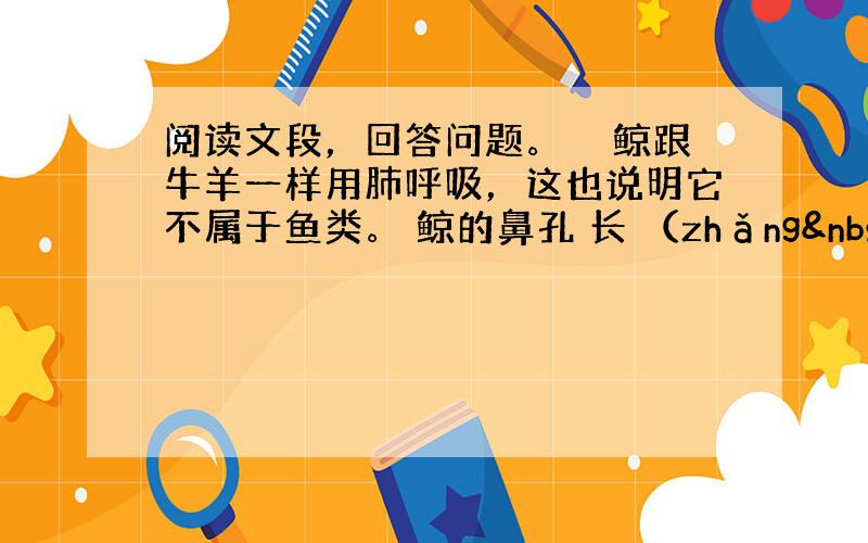 阅读文段，回答问题。　　鲸跟牛羊一样用肺呼吸，这也说明它不属于鱼类。 鲸的鼻孔 长 （zhǎng  cháng