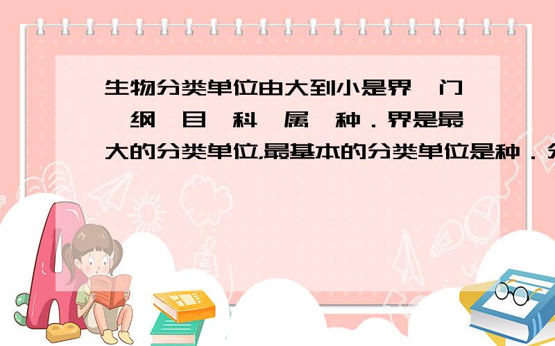 生物分类单位由大到小是界、门、纲、目、科、属、种．界是最大的分类单位，最基本的分类单位是种．分类单位越大，共同特征就越