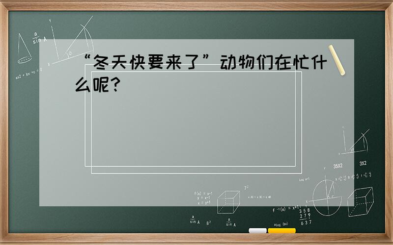 “冬天快要来了”动物们在忙什么呢?