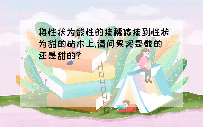 将性状为酸性的接穗嫁接到性状为甜的砧木上,请问果实是酸的还是甜的?