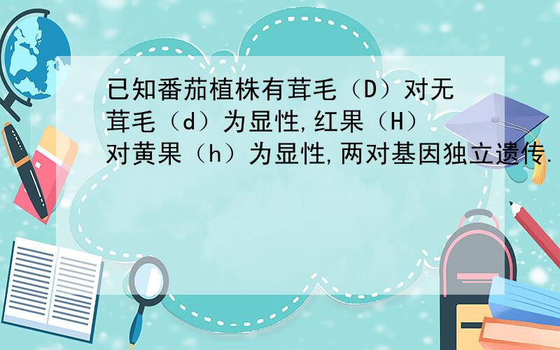 已知番茄植株有茸毛（D）对无茸毛（d）为显性,红果（H）对黄果（h）为显性,两对基因独立遗传.有茸毛番茄植株表面密生茸毛