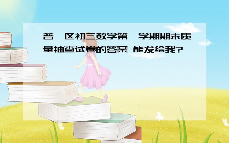 普陀区初三数学第一学期期末质量抽查试卷的答案 能发给我?