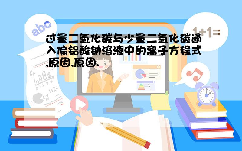 过量二氧化碳与少量二氧化碳通入偏铝酸钠溶液中的离子方程式,原因,原因.