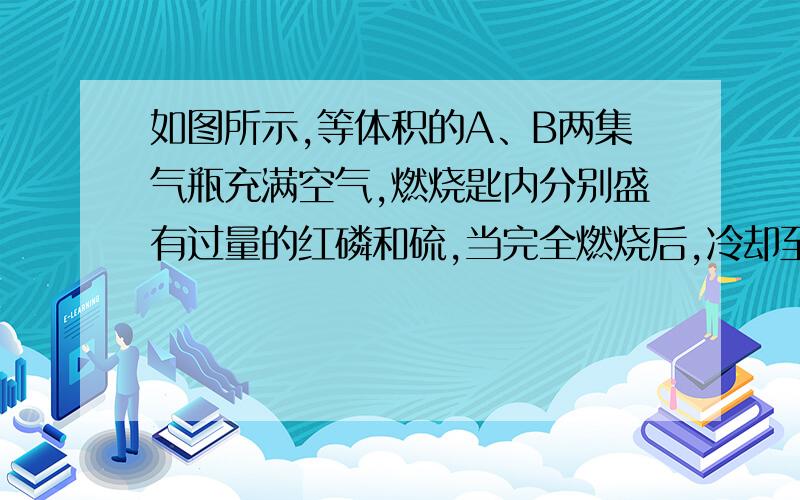 如图所示,等体积的A、B两集气瓶充满空气,燃烧匙内分别盛有过量的红磷和硫,当完全燃烧后,冷却至室温,打开弹簧夹,看到的现