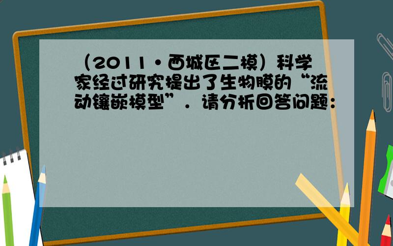 （2011•西城区二模）科学家经过研究提出了生物膜的“流动镶嵌模型”．请分析回答问题：