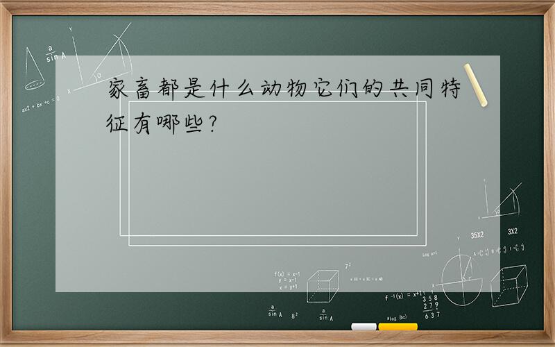 家畜都是什么动物它们的共同特征有哪些?