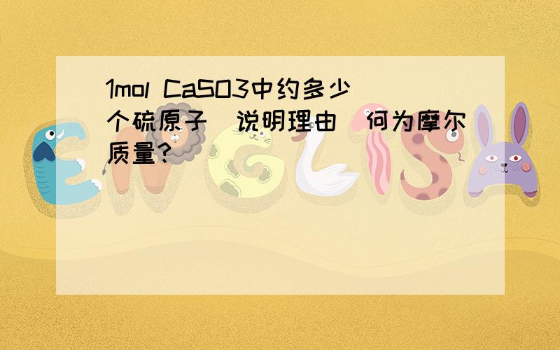 1mol CaSO3中约多少个硫原子(说明理由)何为摩尔质量?