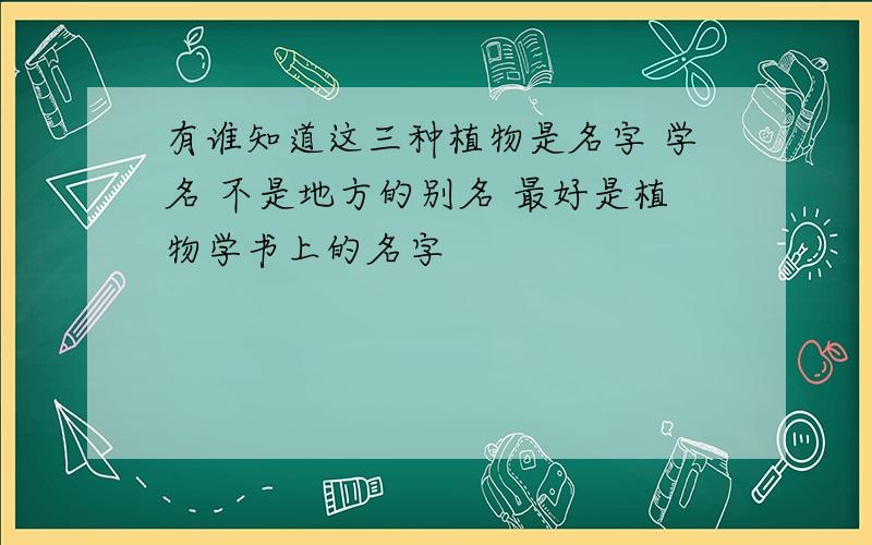 有谁知道这三种植物是名字 学名 不是地方的别名 最好是植物学书上的名字