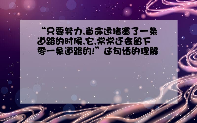 “只要努力,当命运堵塞了一条道路的时候,它,常常还会留下零一条道路的!”这句话的理解